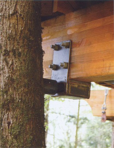 \"treehouse7.jpg\"